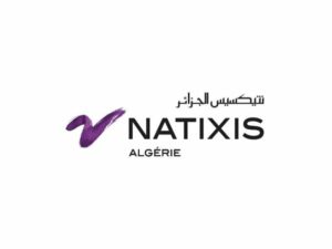 Natixis logo with white background
